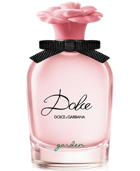 dolce gabbana fragrance